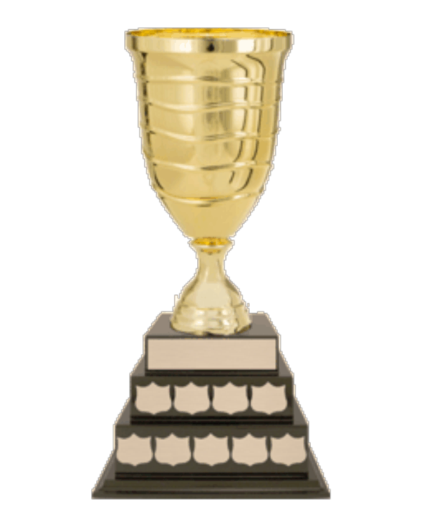 Corporate Annual Trophies