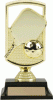 Pickleball Mirage Trophy