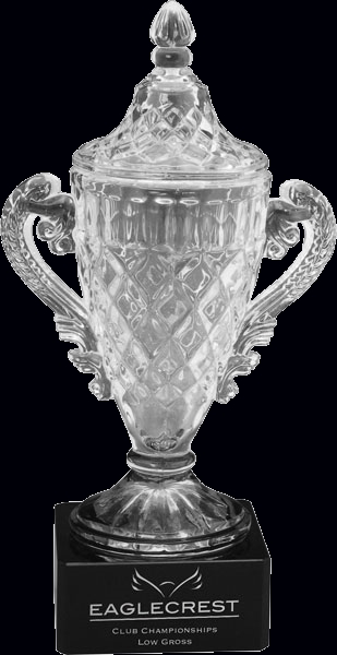 Tournament Trophy Cup Glass