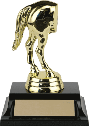 Horse's Rear Trophy | Awards Unlimited Trophies and Awards