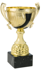 Gold and Black Rebelle Metal Trophy Cup