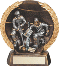 7 1/2&quot; goalie and player resin plate