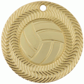 Volleyball Vortex Medal