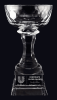 Aspire Bowl Optic Crystal Award Trophy