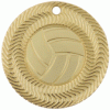 Volleyball Vortex Medal 