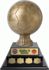 Extra Large Golden Soccer Ball Annual