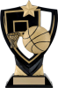 Basketball Apex Shield