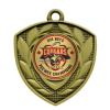 2&quot; Defender Insert Medallion - Gold